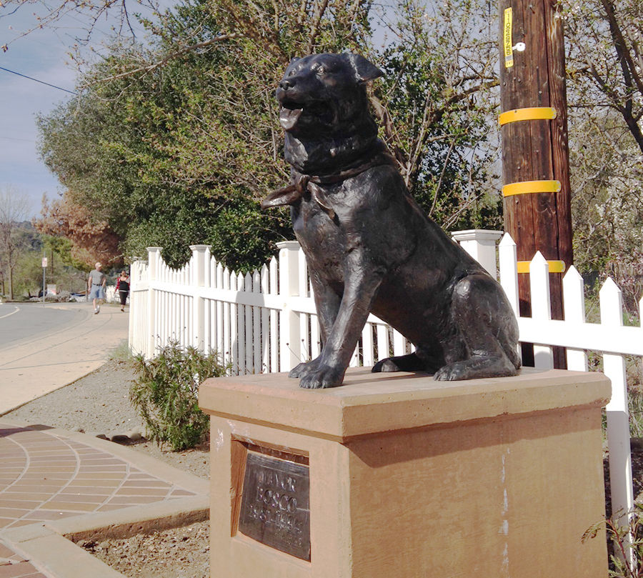 Bosco